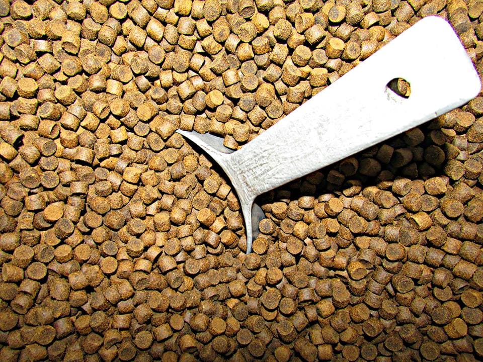 Colour-enhancing betta fish food pellets with a feeding scoop